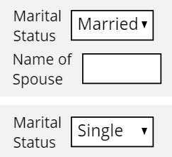 Visible when rule with married vs single selected