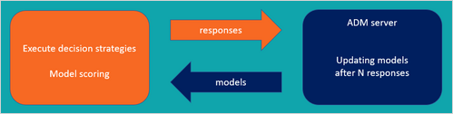 The ADM server is physically separated from the nodes that process decision strategies