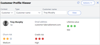 Customer Profile Viewer for Troy