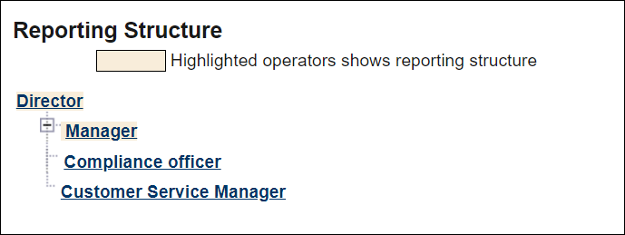 Reporting structure for the Manager. Manager reports to Director