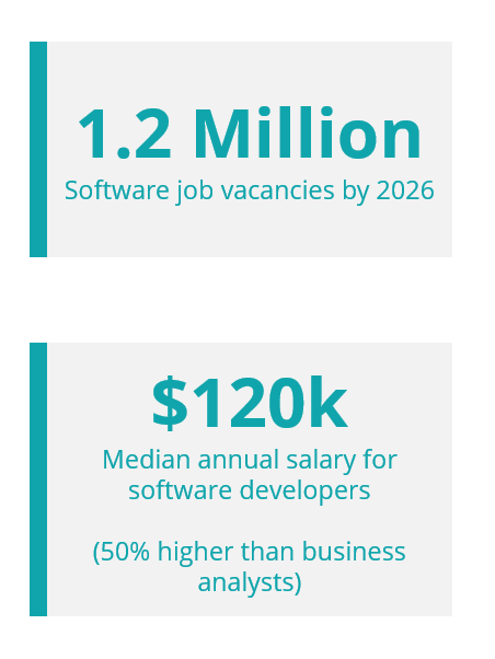 Professional developer expense