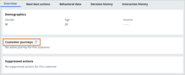 Customer journeys overview