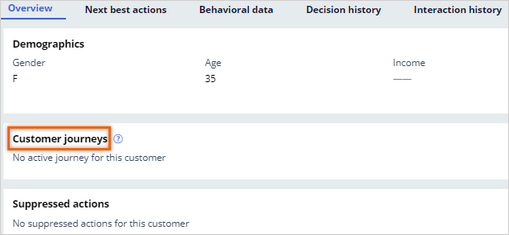 Customer journeys in CPV