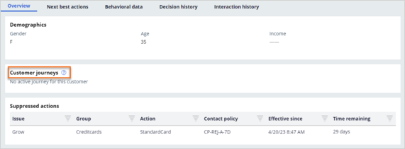 Customer journeys